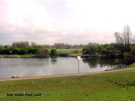 Sale Water Park Lake